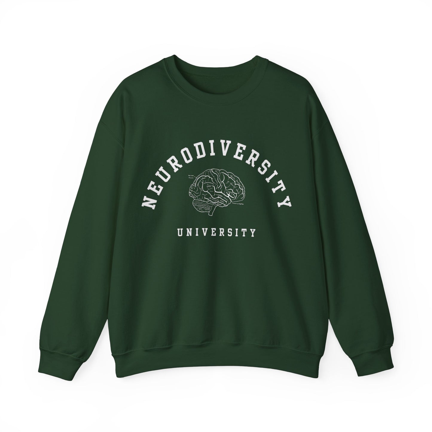 Neurodiversity University Oversized Sweatshirt