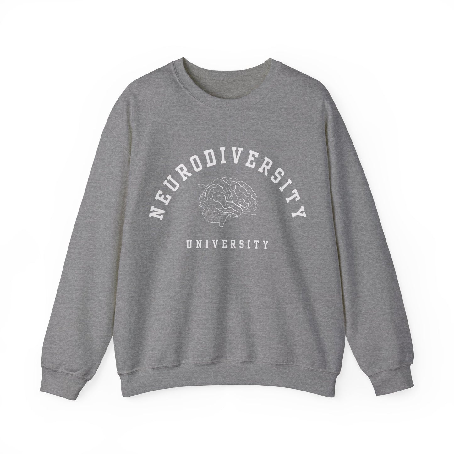 Neurodiversity University Oversized Sweatshirt